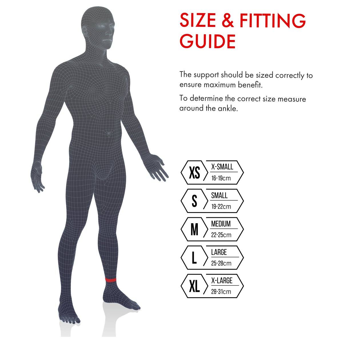 3004 Long Ankle Support