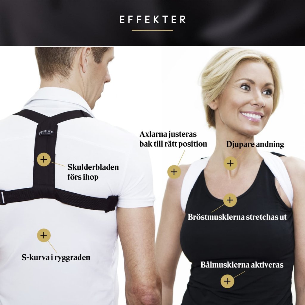 Support harness FLEXI