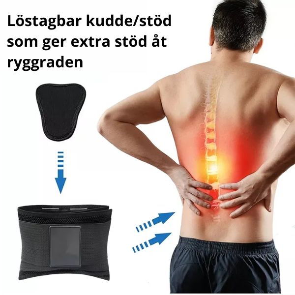 Back protector Stable