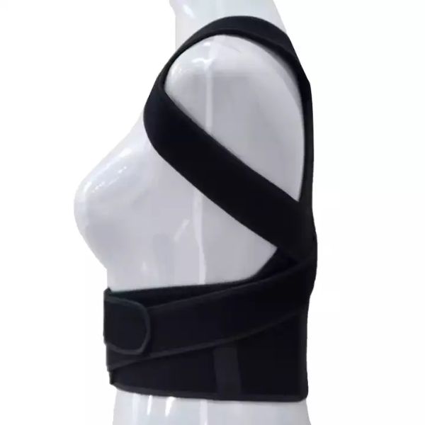 Body armour Correct
