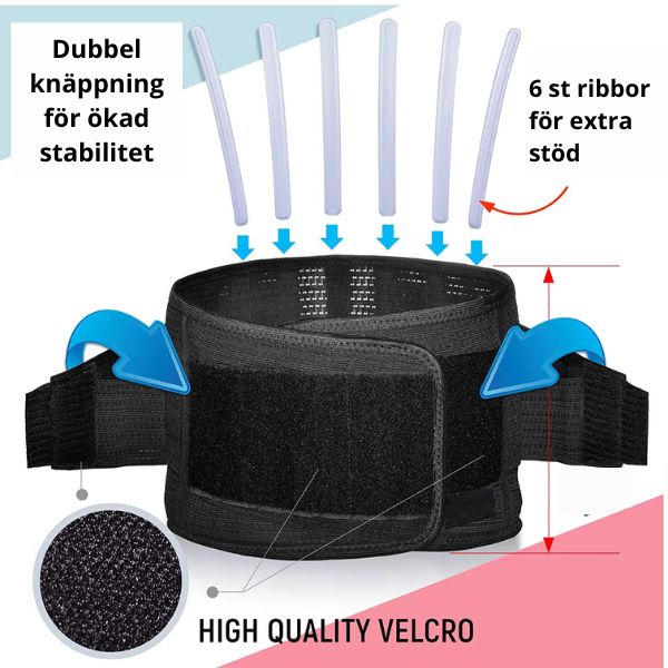 Back protector Stable