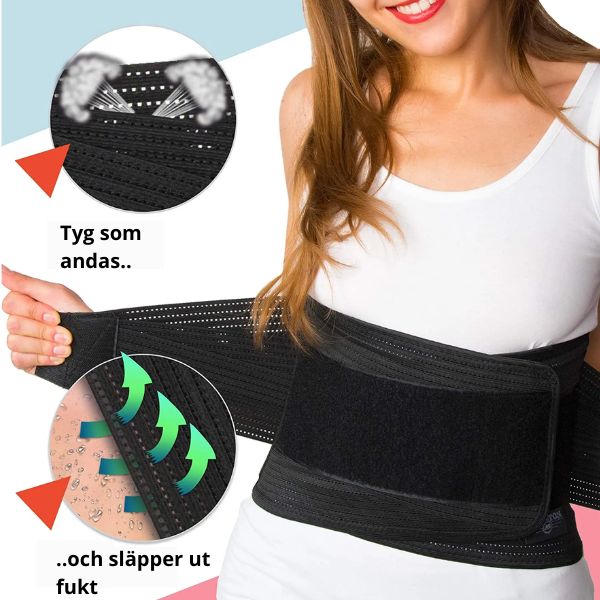 Back protector Stable