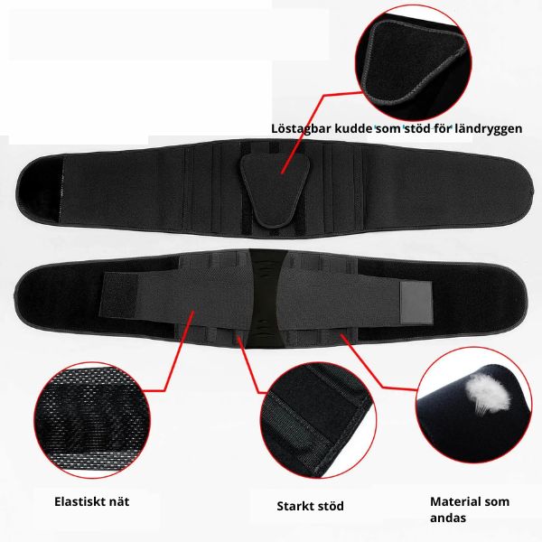 Back protector Stable