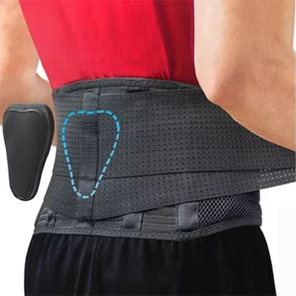 Back protector Stable